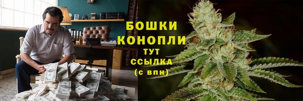 тгк Арсеньев