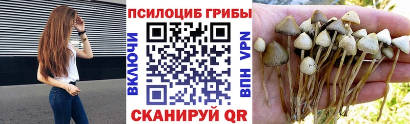 что такое наркотик  Салаир  hydra   Галлюциногенные грибы прущие грибы 